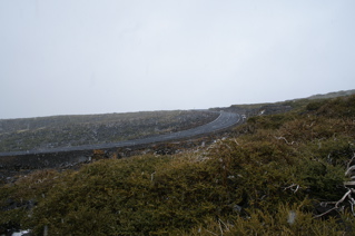 dsc01648